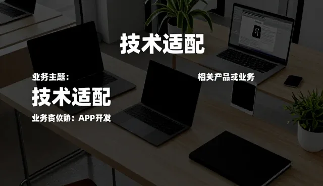定制开发中常见方案问题及应对策略